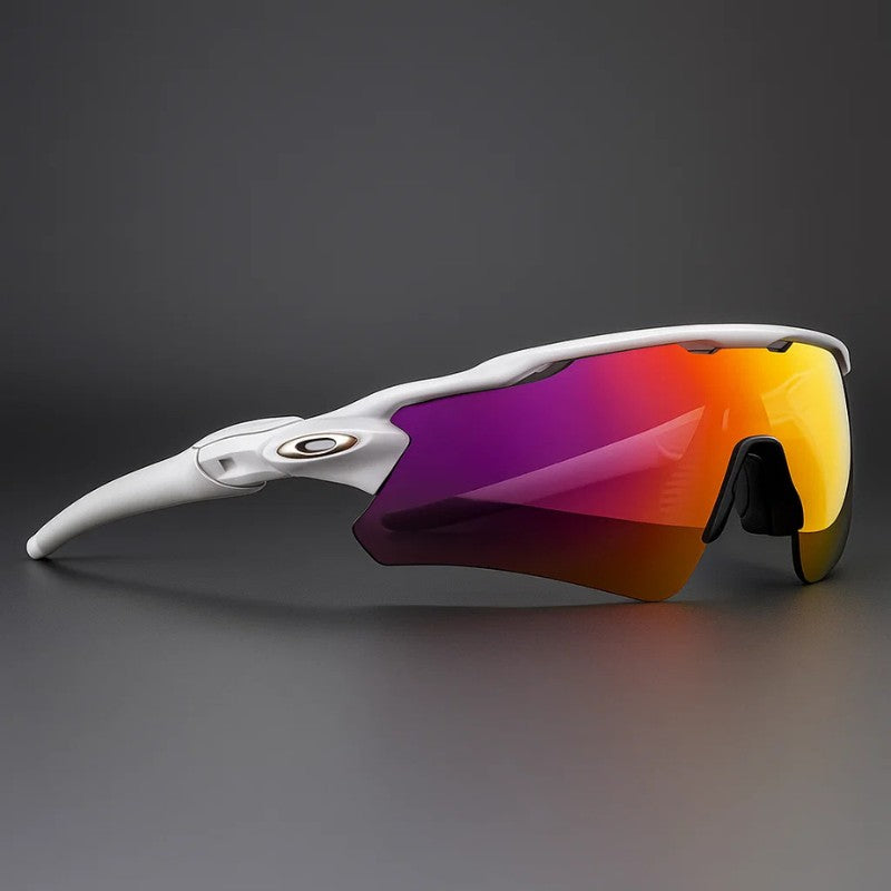 Meridian Polarized Shades